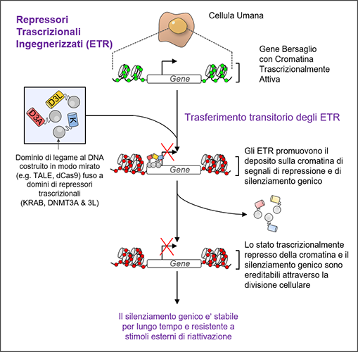 ETR-it ETR